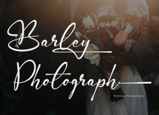 Gamlowfei Script Font preview image 2