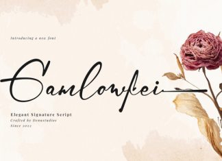 Gamlowfei Script Font preview image 1