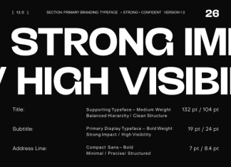 Gastr-Trial Font preview image 3