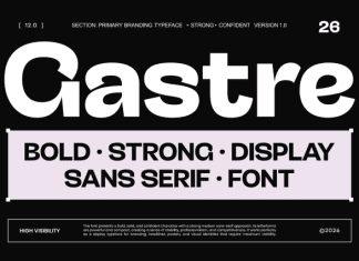 Gastr-Trial Font preview image 1