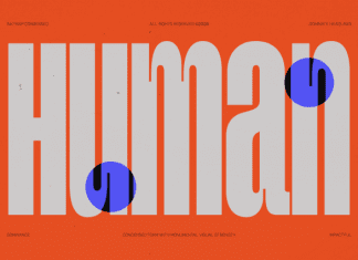 GC Magnu Font Family preview image 3