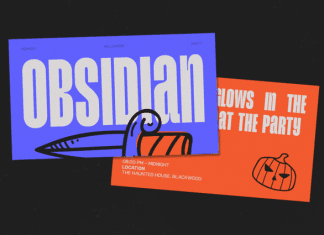 GC Magnu Font Family preview image 2