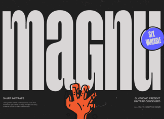 GC Magnu Font Family preview image 1