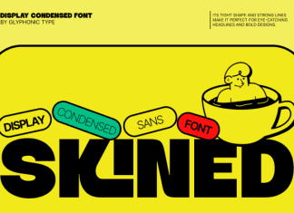 GC Skined Font preview image 1
