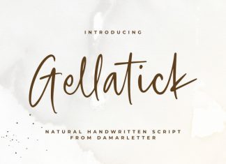 Gellatick Script Font preview image 1