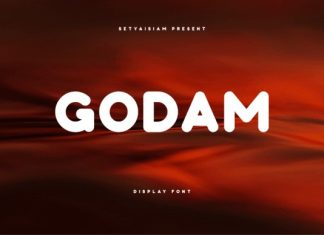 Godam Font preview image 1