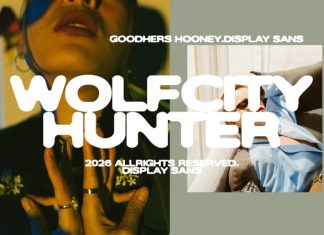 Goodhers Hooney Font preview image 3