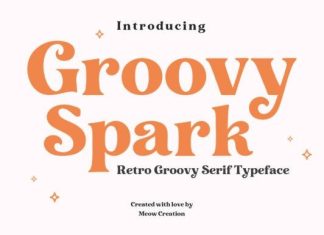 Groovy Spark Font preview image 1