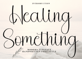 Healing Something Script Font preview image 1