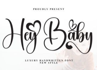 Hey Baby Script Font preview image 1