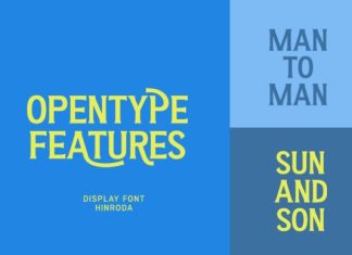 Hinroda Font preview image 2