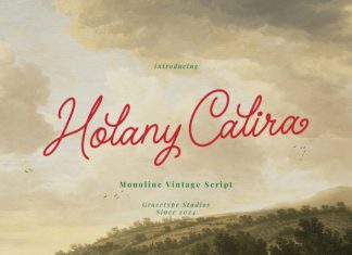 Holany Calira Font preview image 1