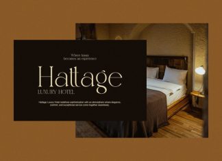 Holige Font preview image 3