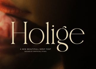 Holige Font preview image 1