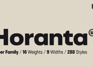 Horanta Normal Font Family preview image 1