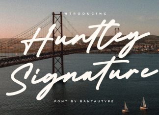 Huntley Signature Script Font preview image 1
