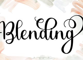 Hybella Script Font preview image 3