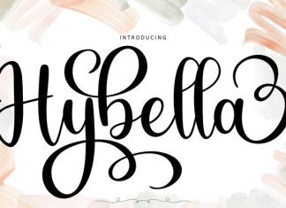 Hybella Script Font preview image 1