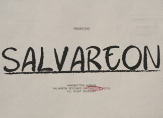 IT SALVAREON FONT preview image 1