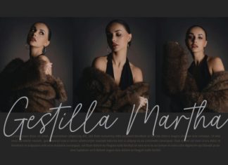 Justine Signature Script Font preview image 3