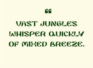 Lanyno Font preview image 3