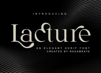 Lecture Font preview image 1
