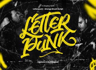 Letterpunk Script Font preview image 1