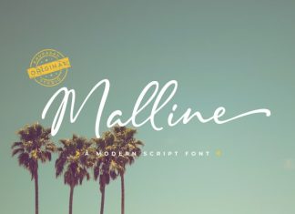 Malline Script Font preview image 1
