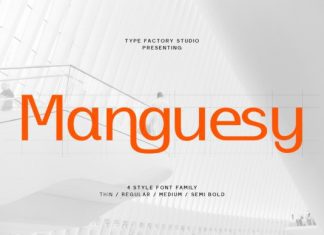 Manguesy Font preview image 1