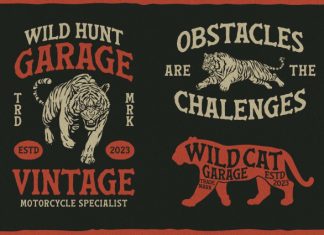 Marley Antique Font preview image 2