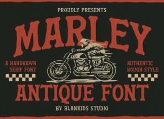 Marley Antique Font preview image 1