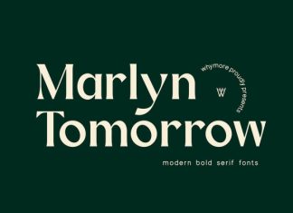 Marlyn Tomorrow Font preview image 1