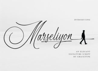 Marseliyon Handwritten Font preview image 1