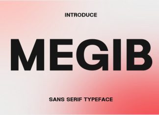 Megib Font preview image 1