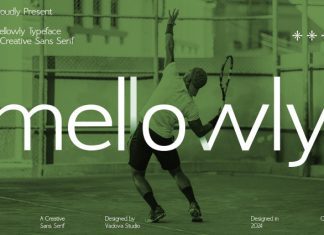 Mellowly Font preview image 1