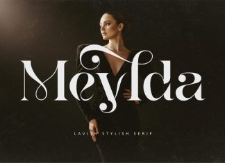Meylda Font preview image 1