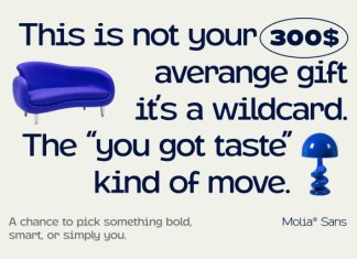 Molia Font Family preview image 3