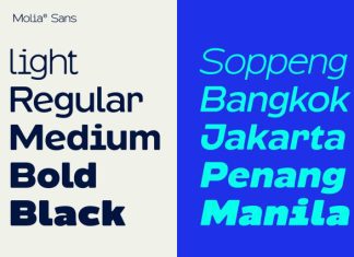 Molia Font Family preview image 2
