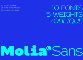 Molia Font Family preview image 1