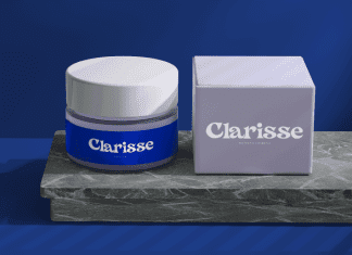 Monic Serif Font preview image 3