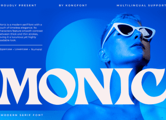 Monic Serif Font preview image 1