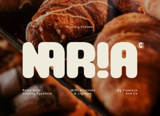 Naria Font preview image 1