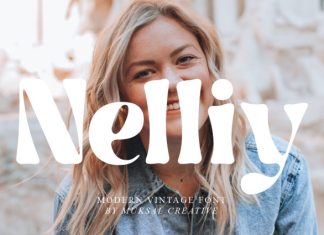 Nelliy Font preview image 1