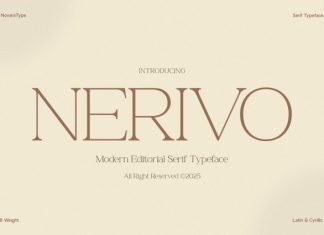 NV Nerivo Font preview image 1