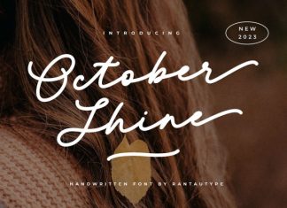 October Shine Handwritten Font preview image 1