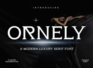 Ornely Font preview image 1