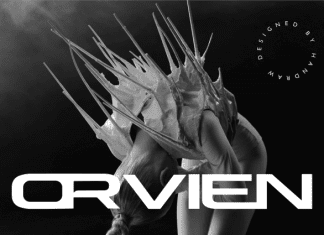 Orvien Font preview image 1