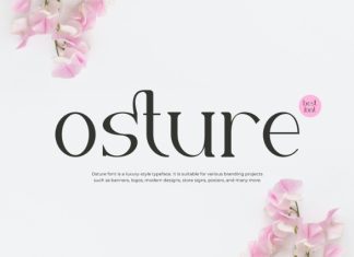Osture Font preview image 1