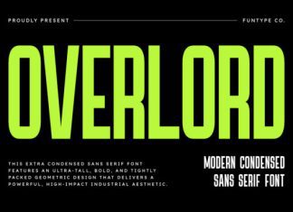 Overlord Font preview image 1