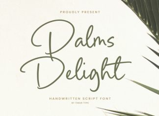 Palms Delight Script Font preview image 1